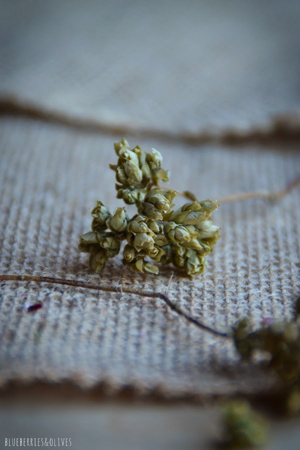 HOJAS DE ORÉGANO SALVAJE SECO