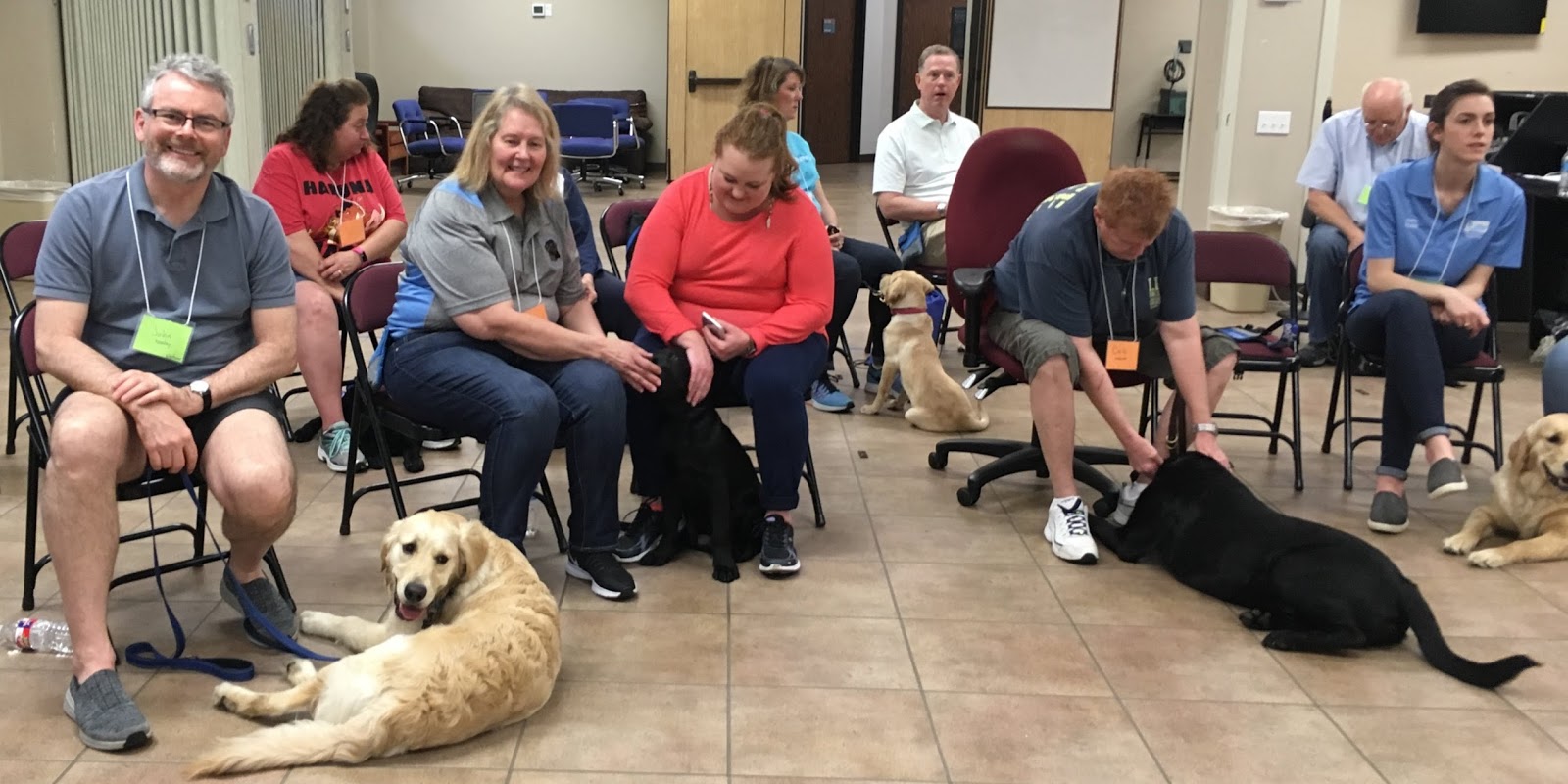 Canine Caper A FullOn Weekend of Puppy Training