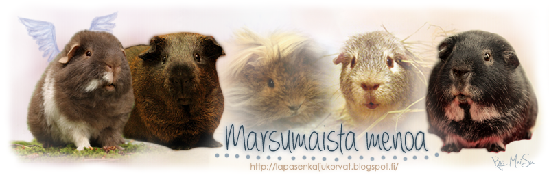 Marsumaista menoa