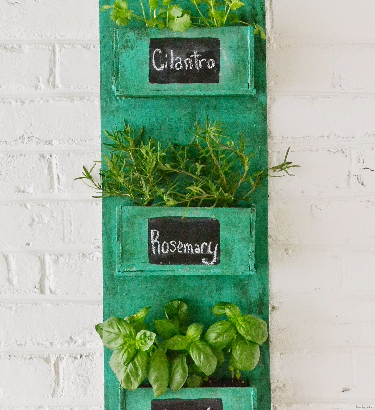 DIY Herb Holder Do it yourself ideas and projects