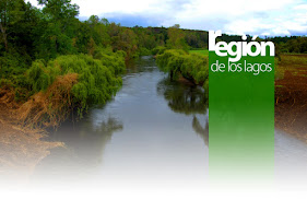 GOBIERNO REGIONAL DE LOS LAGOS