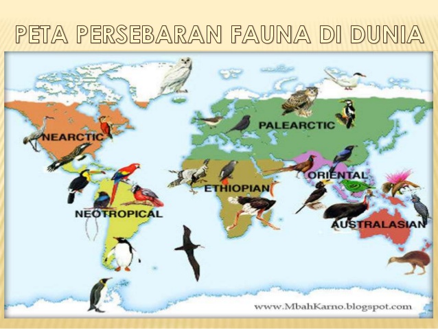 17+ Gambar Persebaran Flora Dan Fauna Di Indonesia