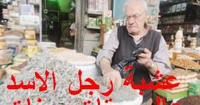 عالم ستات وبنات فوائد عشبة رجل الاسد للتنحيف للتخسيس و تخفيف الوزن للنفاس للتضيق للمرأة