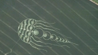 A crop circle in the shape of a giant Jellyfish or Squid.