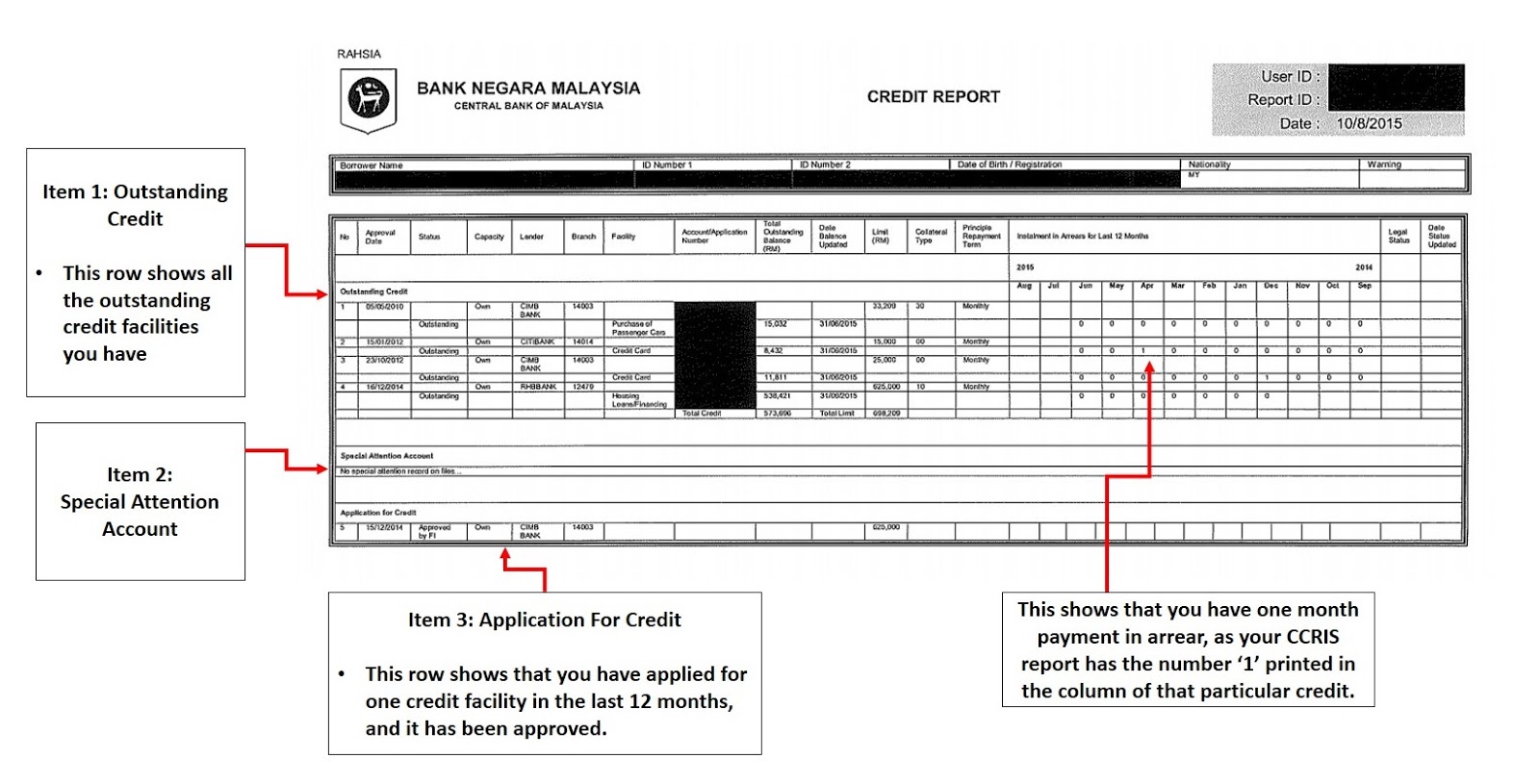 Bank Negara Malaysia карта. Central credit register. Report item
