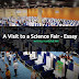A Visit to a Science Fair Essay
