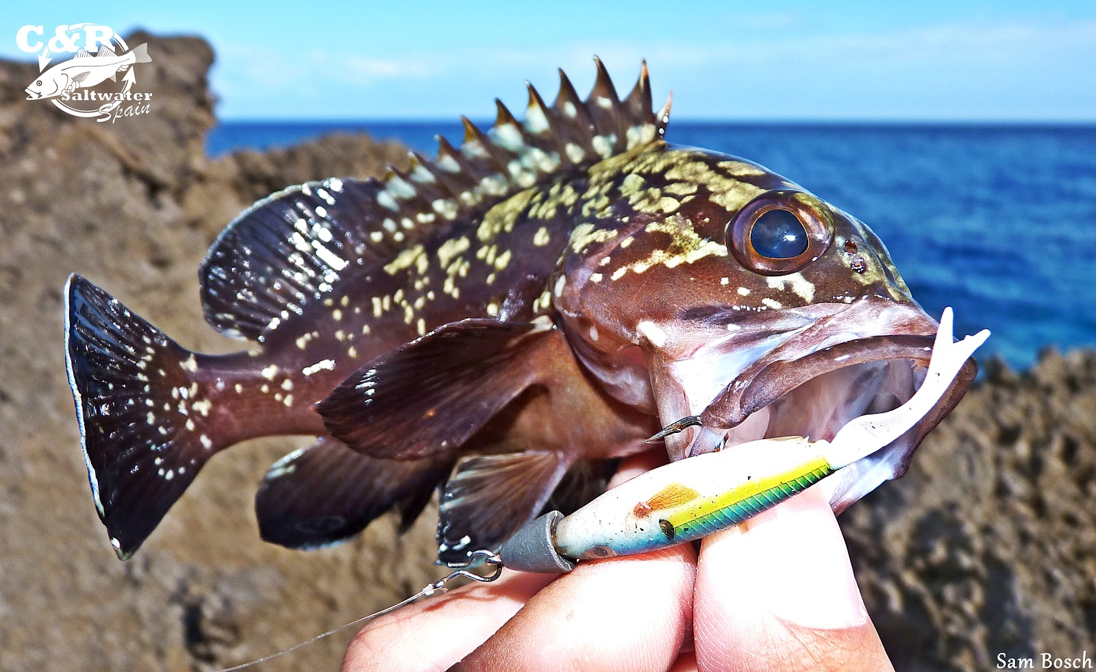 RockFishing Spain Rockfishing "al agujero"