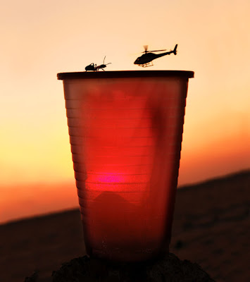 un vaso de cerveza, una hormiga y un helicóptero