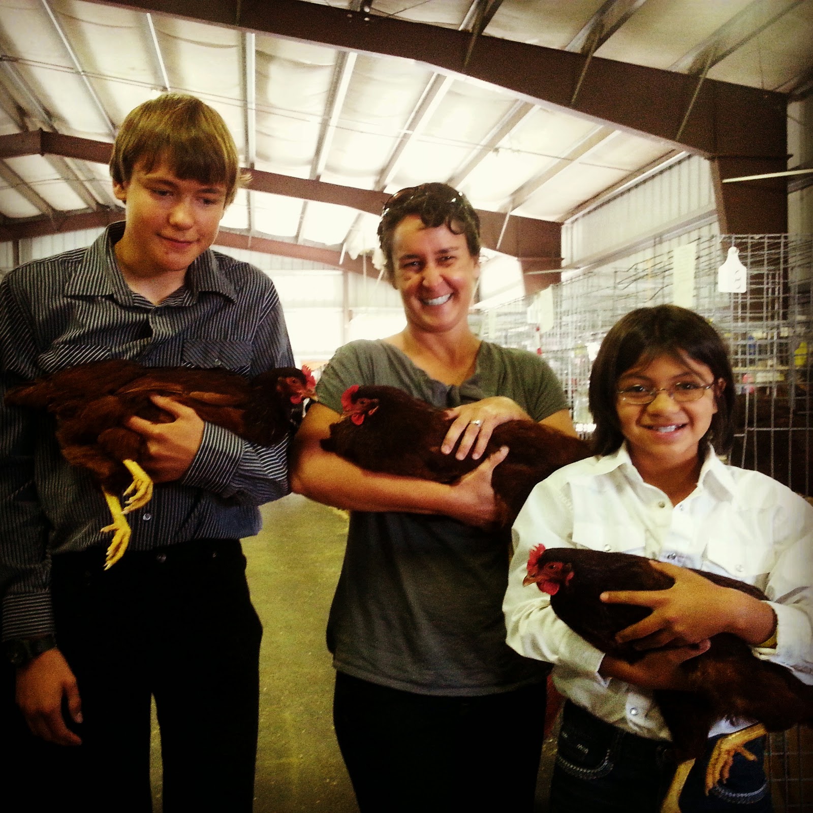 Montana Wildlife Gardener Chickens