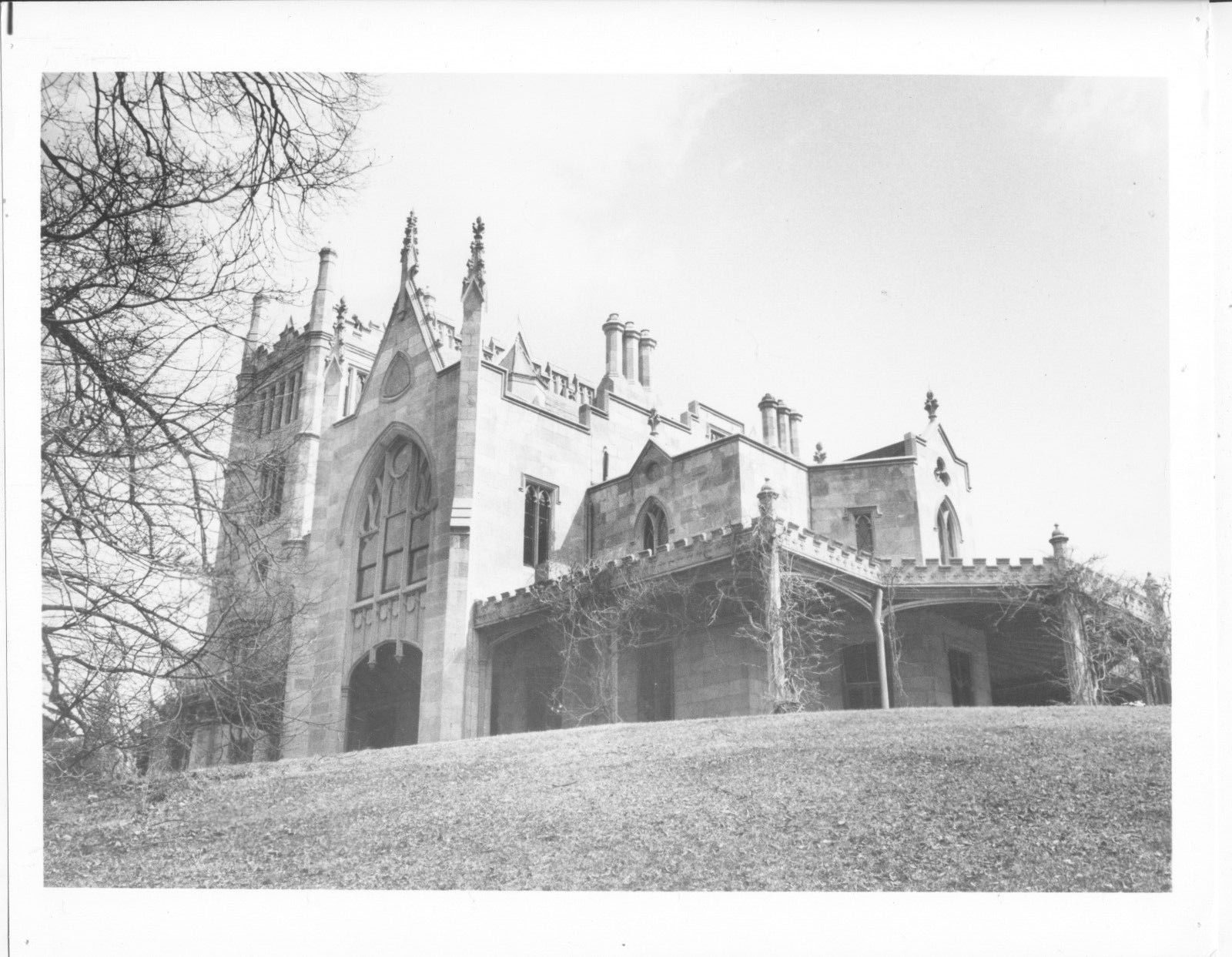 Shadows on the Wall An Online Dark Shadows Fanzine Looming Lyndhurst