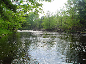 Upper Gorge Pool On The Millers - Where Browns Live
