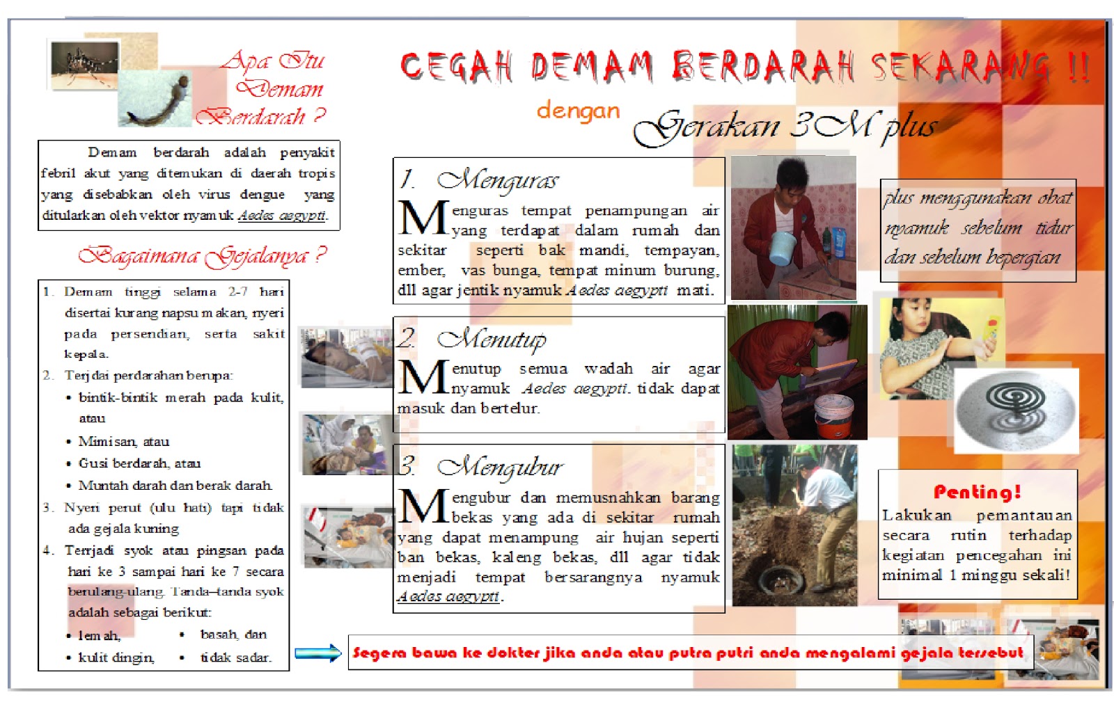 Surangga Jaya AMD.Kep SAP DEMAM BERDARAH