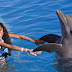 Niños podrán nadar y jugar con Delfines en Dolphin Discovery