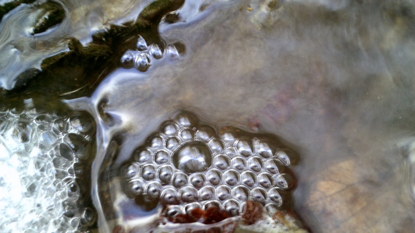 Wigton Physics Close packed Bubbles