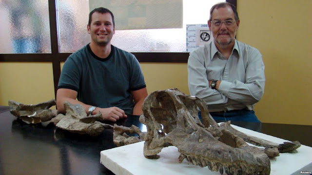Newly discovered titanosaurian dinosaur from Argentina, Sarmientosaurus Newly discovered titanosaurian dinosaur from Argentina, Sarmientosaurus