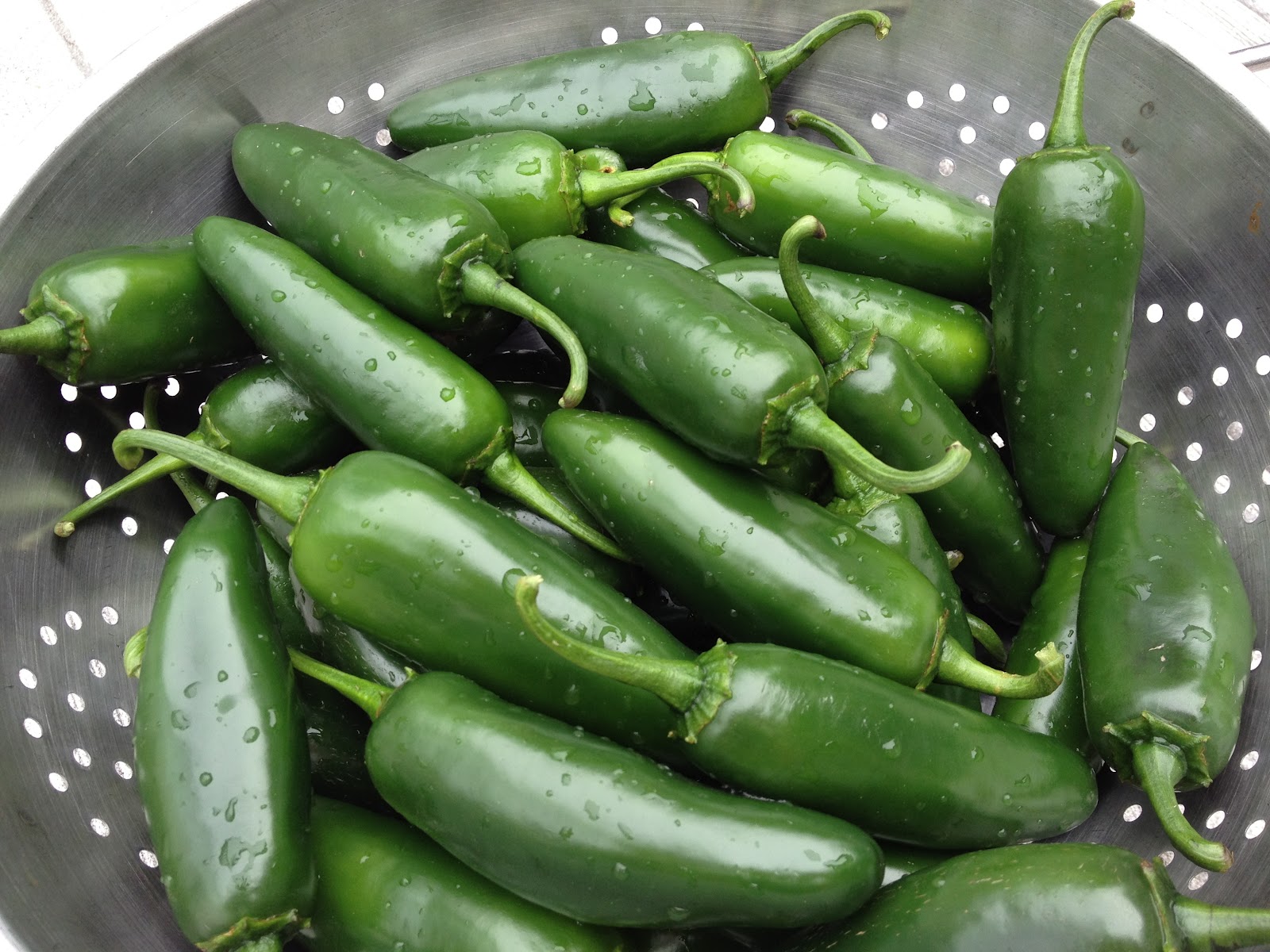 Spicebush Log Jalapeños and Tomatoes
