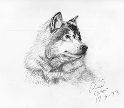 animal wolf pencil sketch sketches drawings easy drawing animals portrait simple sketching bang painting dog paintings paintingvalley master explore