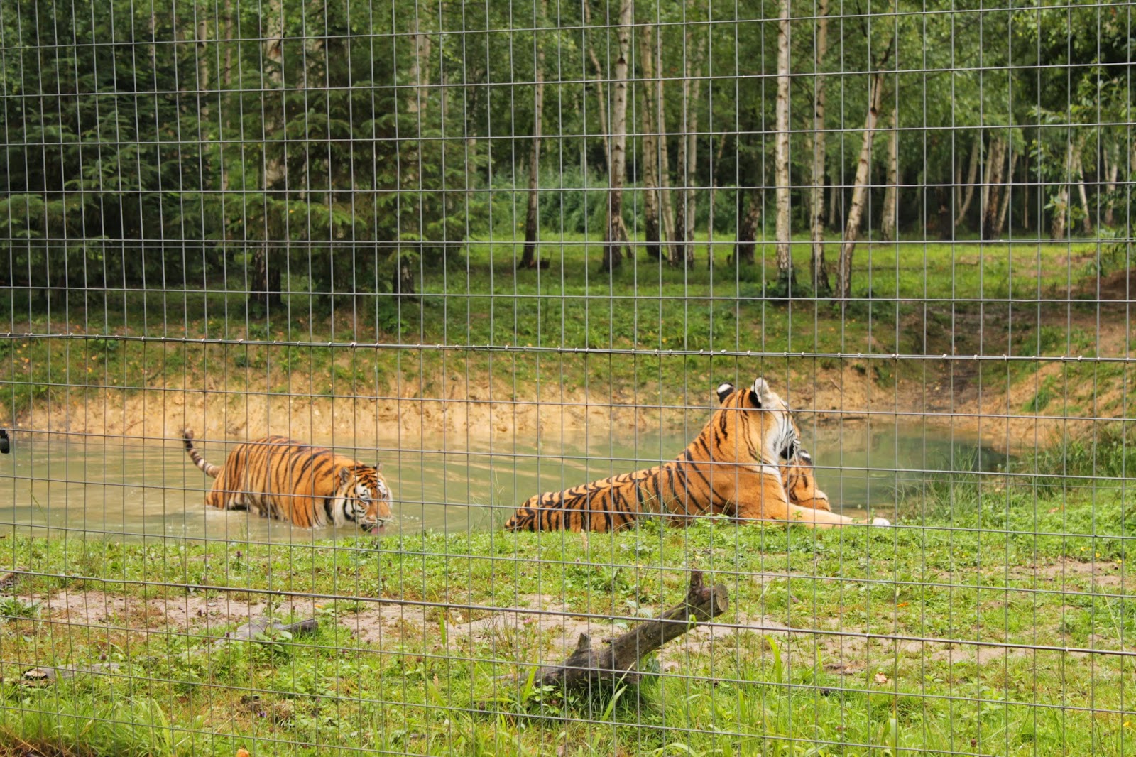 Coulommiers Ecologie Inauguration du Trans'Félins au