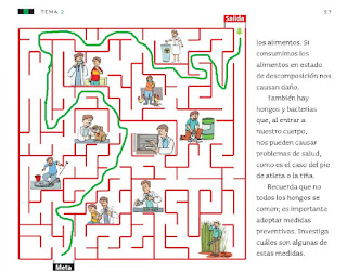 Respuestas Apoyo Primaria Ciencias Naturales 4to Grado Bloque II Tema 2 Otros seres vivos: los hongos y las bacterias