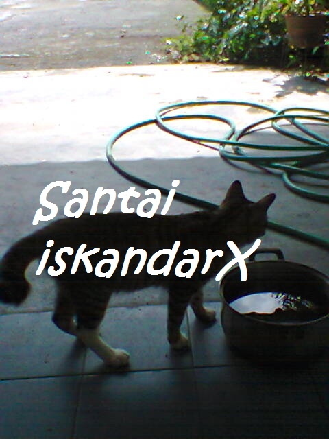 iskandarx.blogspot.com, Faizal tengah rehat serta minum air da, santai, Faizal, Jupiter, Pluto, Charlicaplin, Neptune, Naili, Laili, Laila, Solehah, Puteh