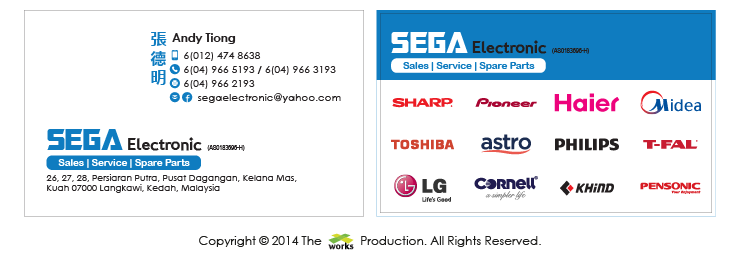 Sega Electronic, Sales, Service, Spare Parts
