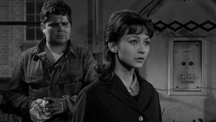 Grun Ist Die Heide Tunnel 28 Escape From East Berlin 1962