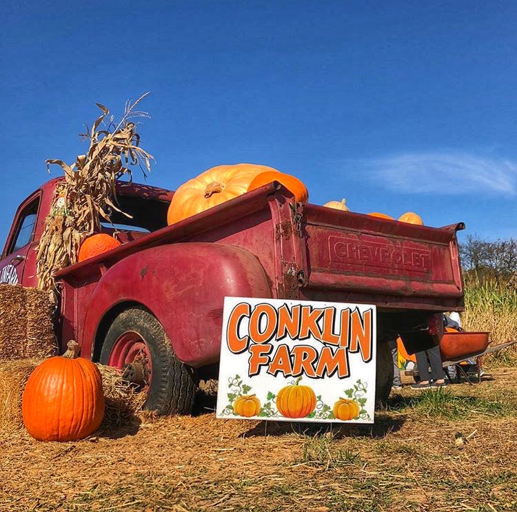 Conklin Farms // New Jersey Wanderlust Beauty Dreams