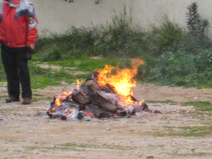 Φωτογραφίες και βίντεο από την αποκριάτικη παρέλαση στα Άνω Λιόσια