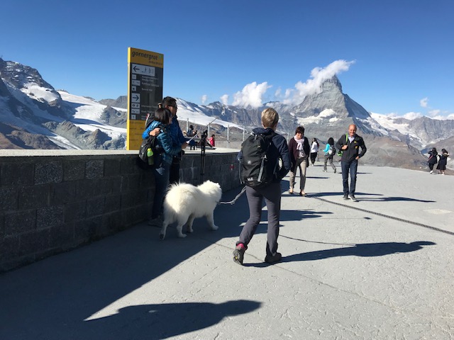 スイス・ツェルマット・ゴルナーグラートを訪れる犬ずれの人々