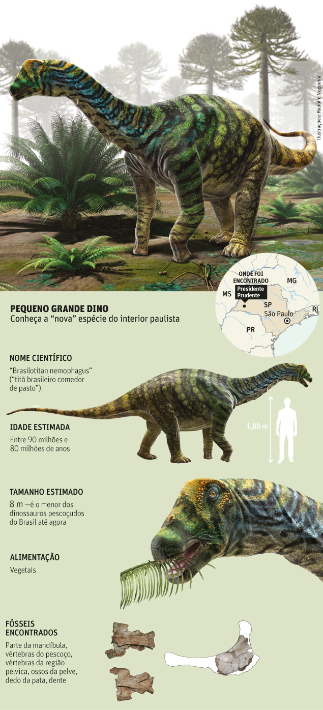 Nova espécie de dinossauro encontrada no Brasil Dinos Tephix Nova espécie de dinossauro encontrada no Brasil Dinos Tephix