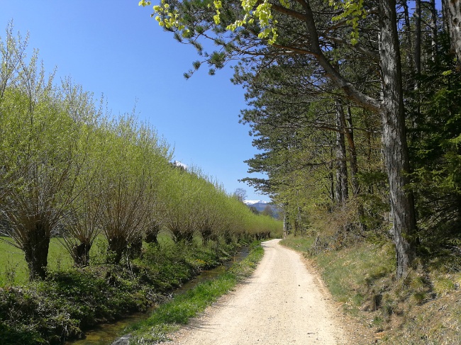 12 Von 12 Marz 2020 Draussen Nur Kannchen Bloglovin