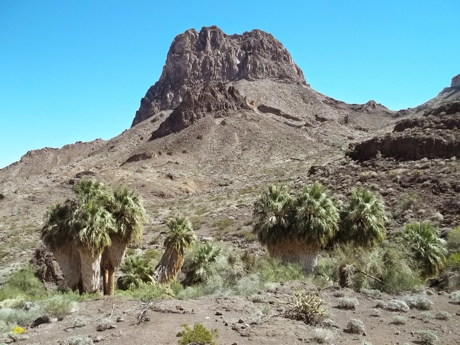 Grand Gulch Hikers Mopah Range, Turtle Mountains
