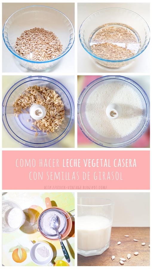 receta leche semillas girasol foto-tutorial