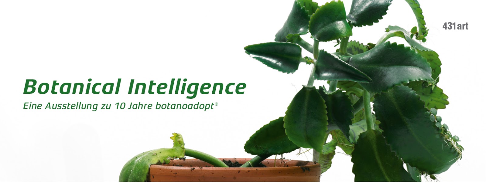 Kunstverein Ahlen Posts Facebook