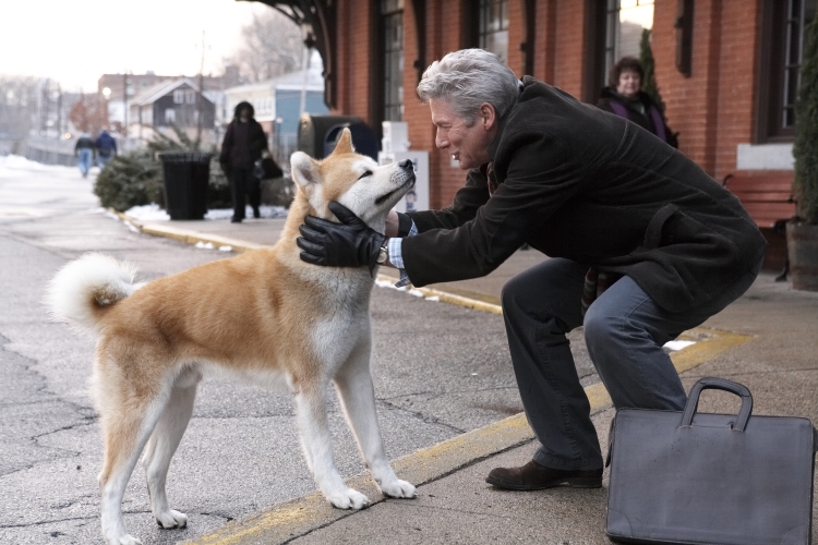 Andy's Film Blog Hachi A Dog's Tale