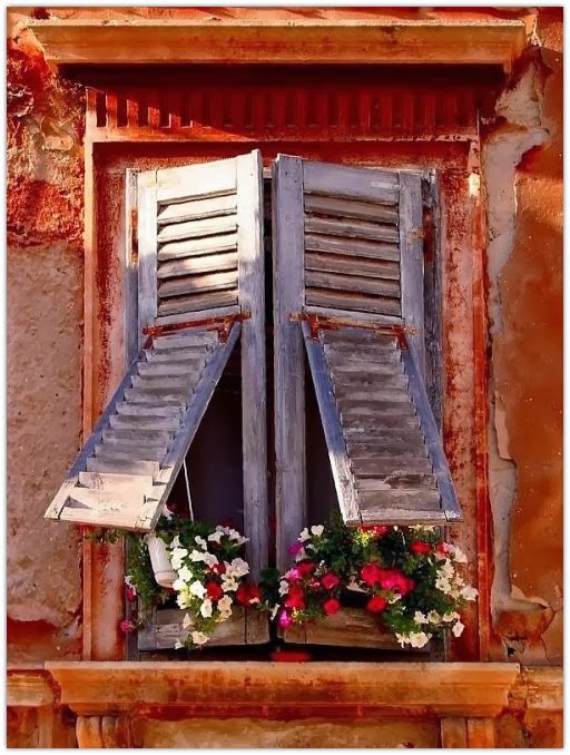 Flowers in the Window