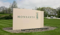 Monsanto transgenicos