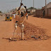 #NigerianYouthsAreNotLazy: One-legged man seen carrying out road construction