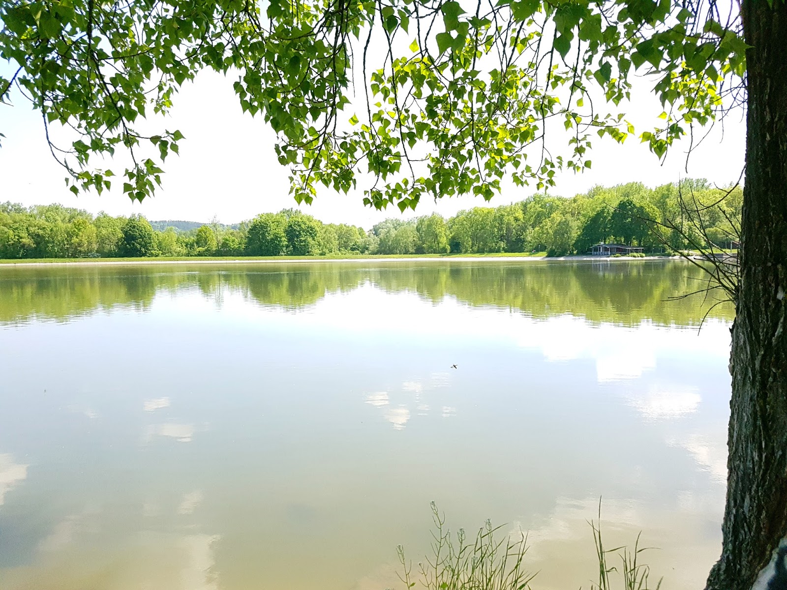 Tipps Fur Eine Gluckliche Beziehung Mishy Hoffmann