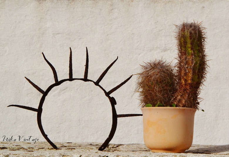 Los cactus son unas plantas maravillosas y muy decorativas, por eso, hoy veremos 8 cactus preciosos que debes tener en tu casa