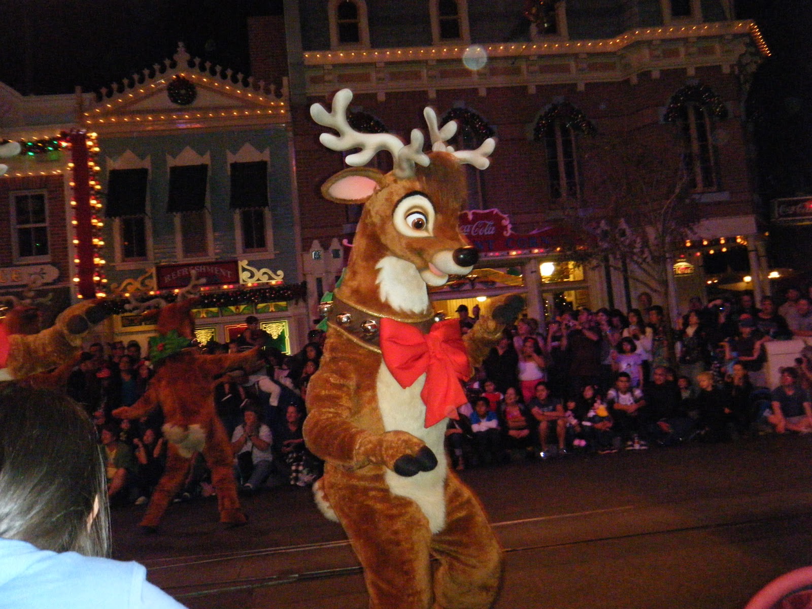 Three Days of Adventure: More Holiday Disney Adventure