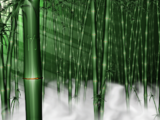 Bamboo Wallpaper: Bamboo Wallpapers 1-10 1600 x 1200