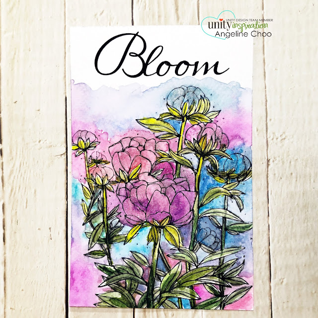 ScrappyScrappy: Blooming Peonies  #scrappyscrappy #unitystampco #cardmaking #card #stamp #stamping #youtube #quicktipvideo #altenewwatercolors #watercolor #bloomingpeonies 