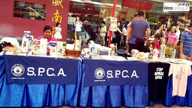 SPCA Singapore