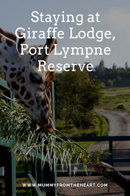 Giraffe Lodge at Port Lympne Reserve, Kent is an amazing and luxurious UK safari experience for any couple, looking for a special time away.