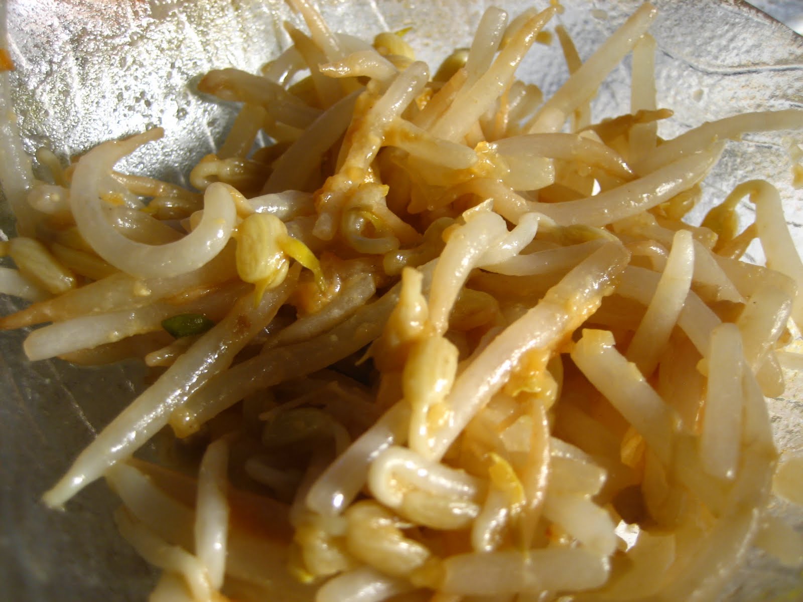 bean sprout recipe japanese bean sprout recipe japanese