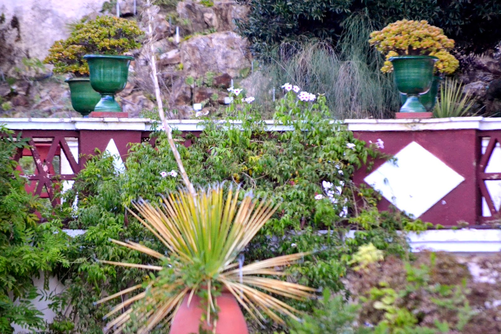 Camino a la resilencia: octubre 2014