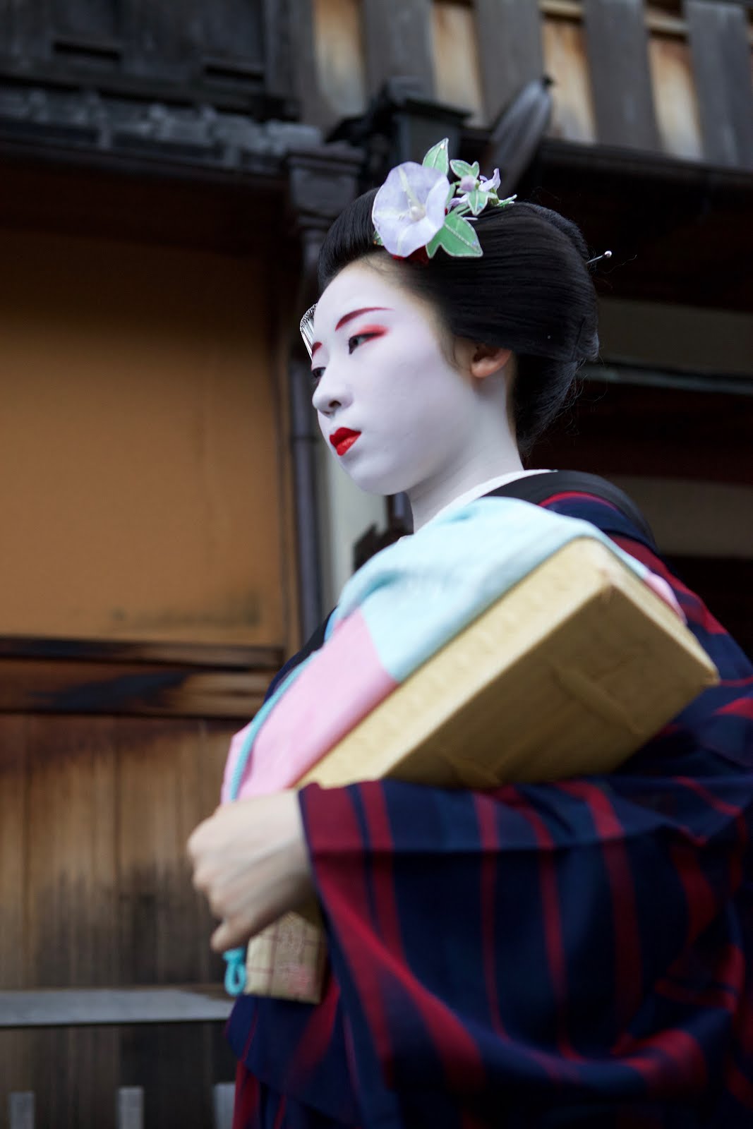 KYOTO - Geisha