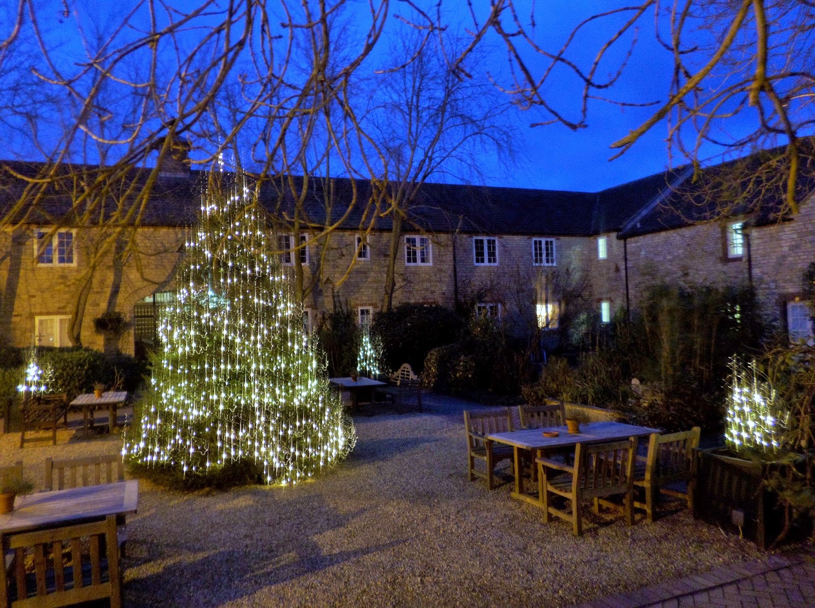Martin Brookes Oakham Barnsdale Lodge Hotel Rutland Christmas Trees From Digby Farm Photographs