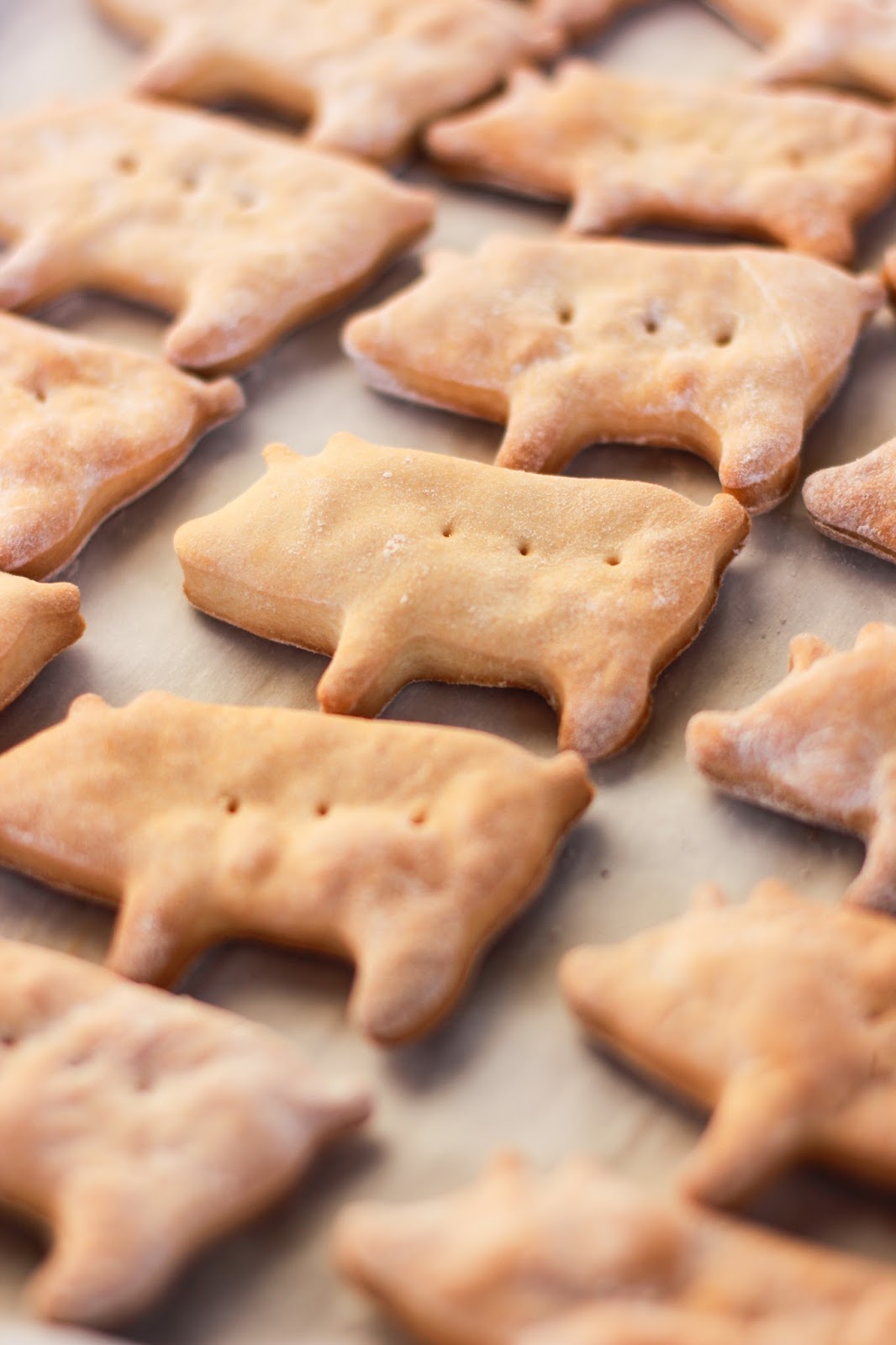 Cooking with Jax Bacon Dog Treats